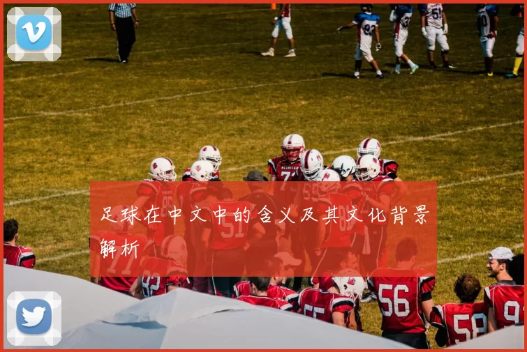 足球在中文中的含义及其文化背景解析