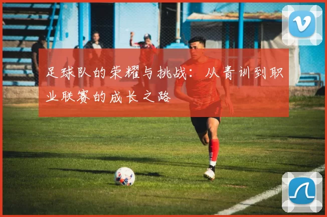 足球队的荣耀与挑战：从青训到职业联赛的成长之路